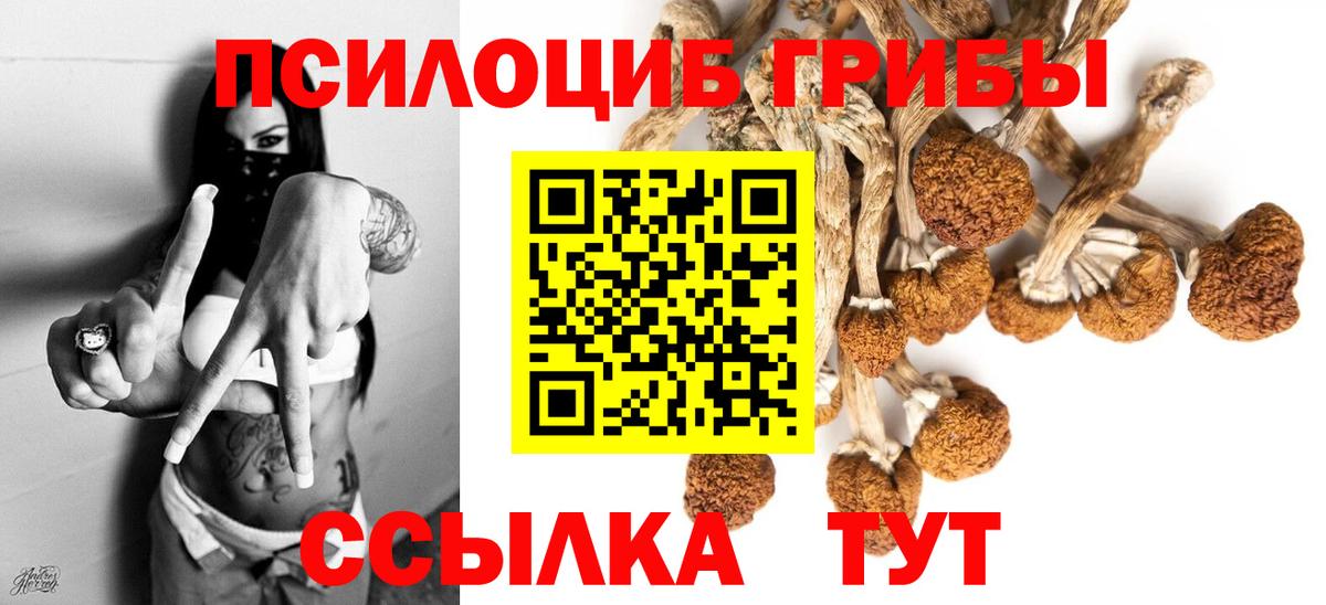 Цена  Фролово  Вход с VPN  MDMA  Марихуана  NBOMe  Гашиш  Мефедрон кристаллы  Гашиш 