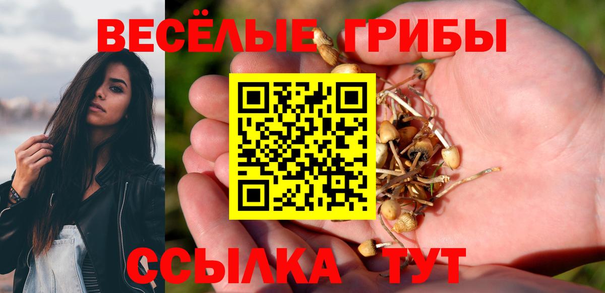 где купить наркоту  Галлюциногенные грибы мухоморы  Вход с VPN  Псилоцибиновые грибы прущие грибы  Фролово 